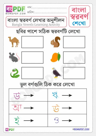 Bengali Vowels Activity Worksheet
