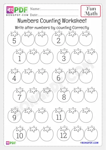 Free Learn After Numbers Kindergarten Counting Worksheet Download
