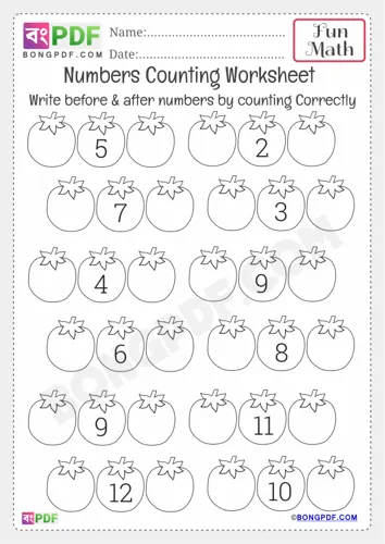Free Learn Before After Numbers Kindergarten Counting Worksheet Download