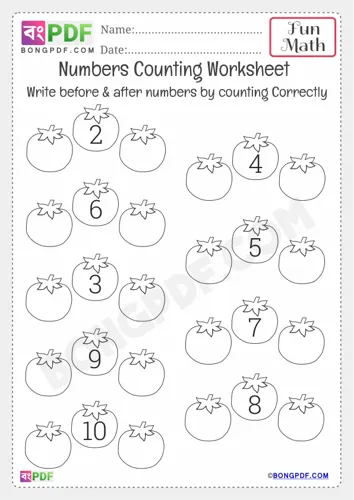 Before After Numbers Kindergarten Counting
