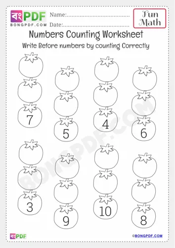 Before Numbers Counting