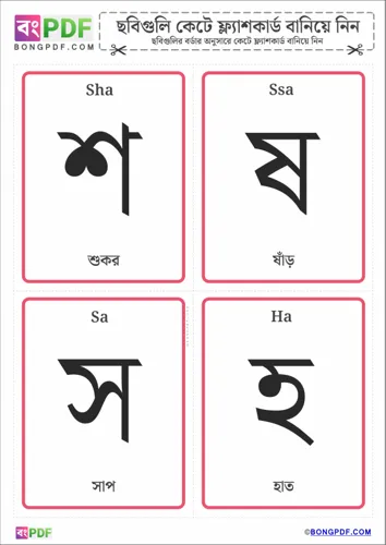 Free Learn Bengali Consonants Flashcard Worksheet Download