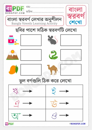 Free Learn Bengali Vowels Worksheet Download