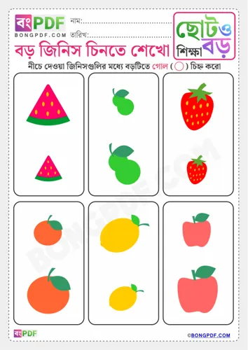 Circle big items bengali