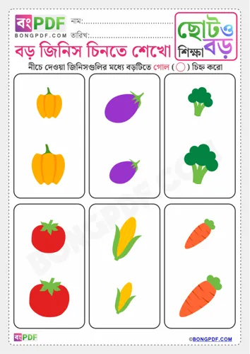 Free Learn Circle Big Items Bengali Worksheet Download