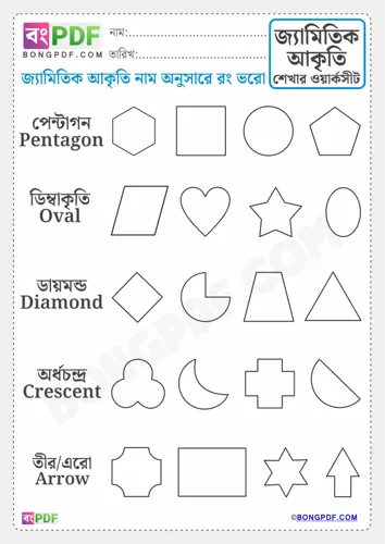 Color right geometric shape