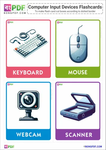 Computer Input Devices Pictures Flashcards