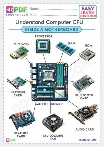 Computer Motherboard English