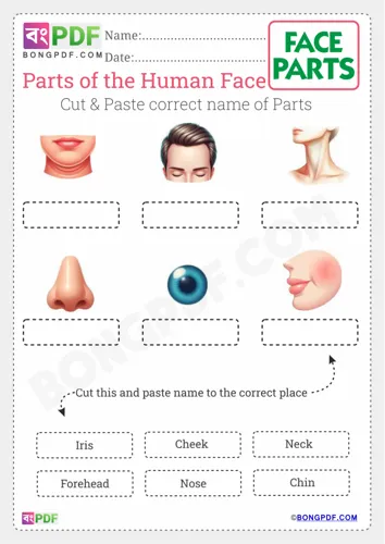 Cut and Paste Face Parts