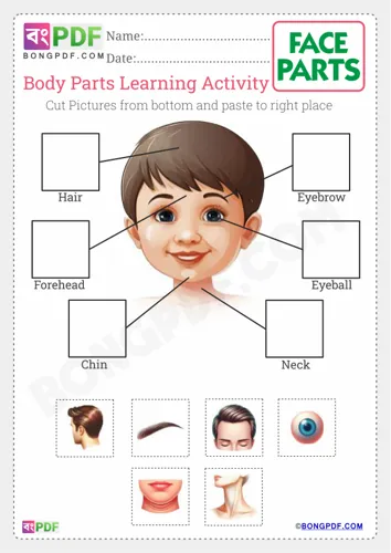 Face parts cut paste