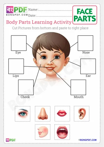Face Parts Cut Paste