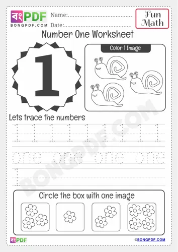 Kindergarten Numbers