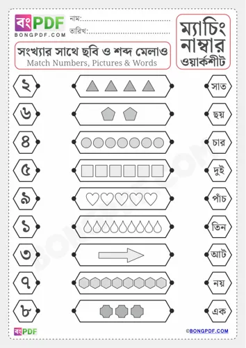 Match pictures numbers and words bengali