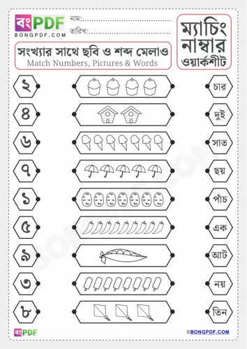 Free Learn Match Pictures Numbers And Words Bengali Worksheet Download