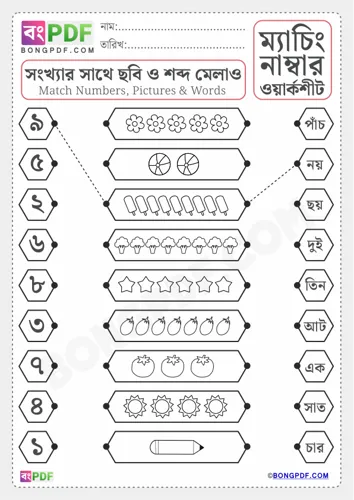 Free Learn Match Pictures Numbers And Words Bengali Worksheet Download