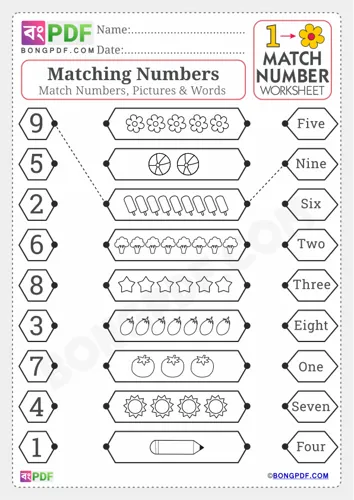 Match pictures numbers english