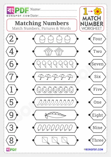 Free Learn Match Pictures Numbers English Worksheet Download