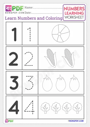 Preschool English Numbers